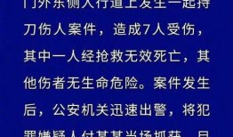 石城爆料伤人案件最新,嫌疑人落网，案情细节披露