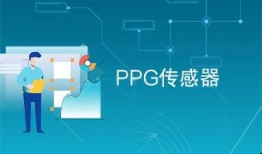 ppg最新爆料,揭秘行业最新动态与趋势